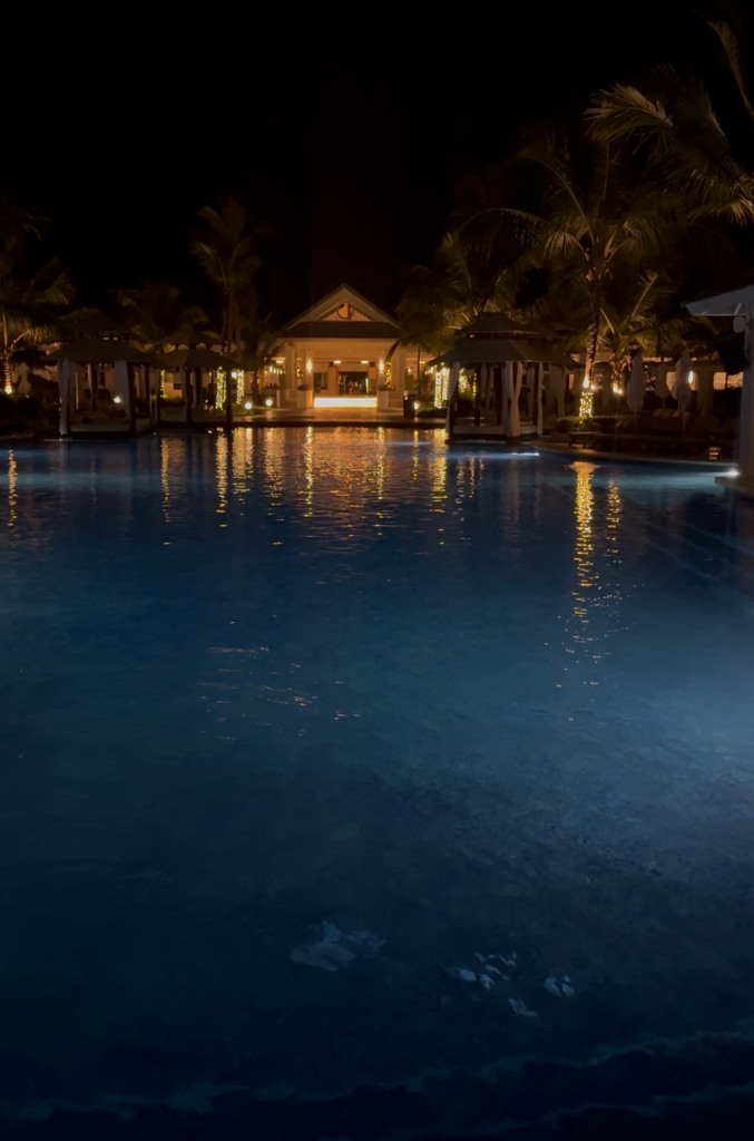 View Recent Photos 677x1024